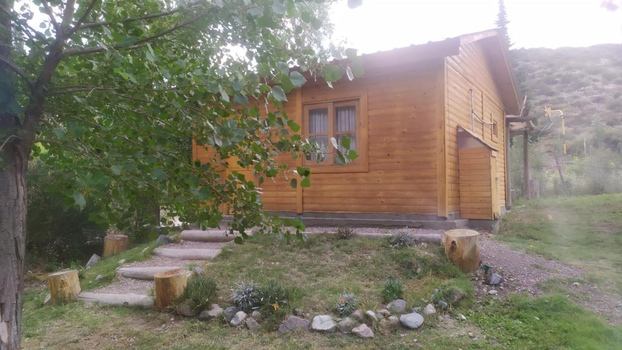 Cabanas El Fogon Potrerillos Luaran gambar